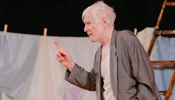 Спектакль «Любовь и голуби»