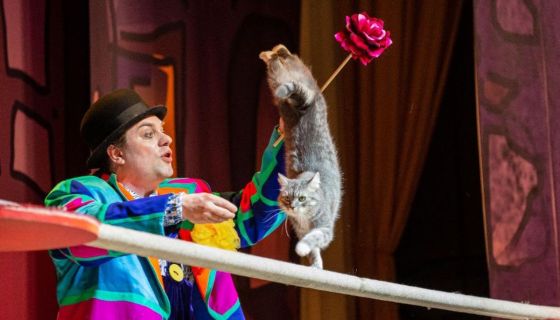 Владимир Куклачёв. Волшебные кошки