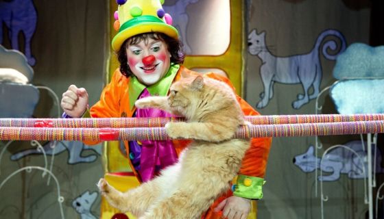 Владимир Куклачёв. Волшебные кошки