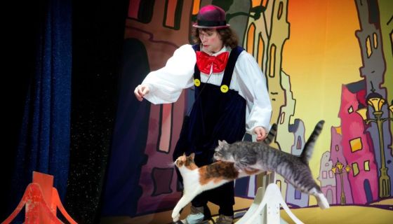 Владимир Куклачёв. Волшебные кошки