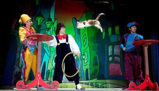 Владимир Куклачёв. Волшебные кошки