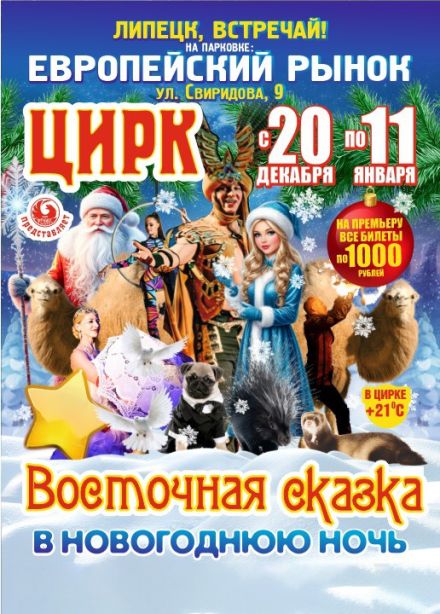 Цирк «Феникс». Шоу «Восточная сказка в новогоднюю ночь»