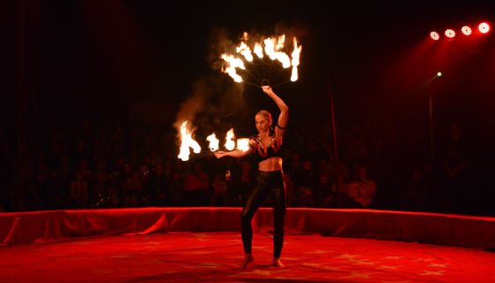 Цирк «Феникс». Шоу «Восточная сказка в новогоднюю ночь»