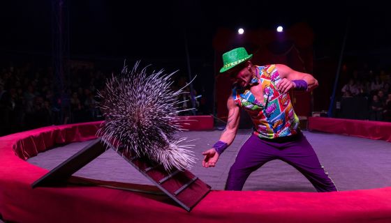 Цирк «Феникс». Шоу «Восточная сказка в новогоднюю ночь»