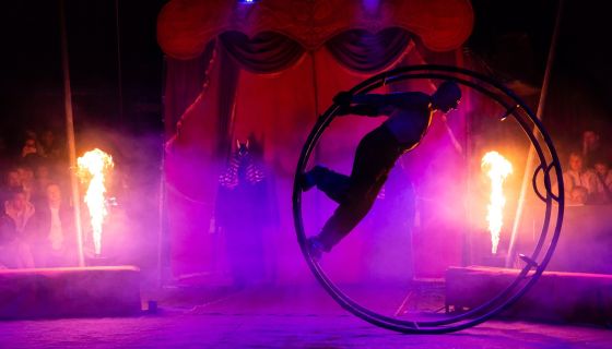 Цирк «Феникс». Шоу «Восточная сказка в новогоднюю ночь»