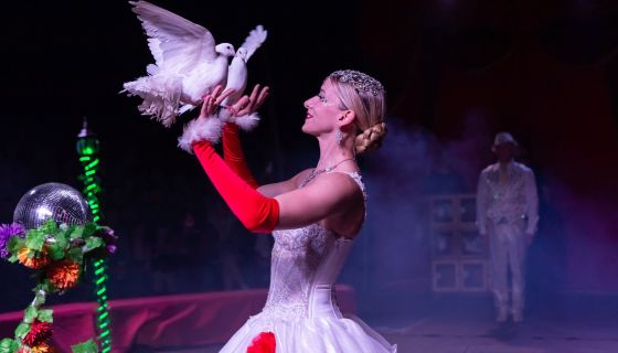 Цирк «Феникс». Шоу «Восточная сказка в новогоднюю ночь»