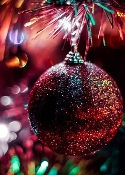 Шоу «Двенадцать месяцев и тайна волшебного колечка»