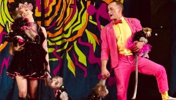 Цирк-шапито «Гранд Арена»