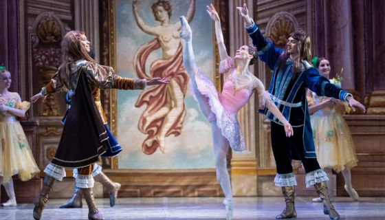 Балет «Спящая красавица», Усмань