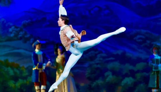 Балет «Спящая красавица», Усмань